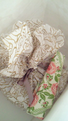 *izumanix*-201004071056000.jpg
