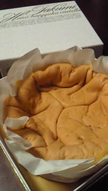 *izumanix*-201004072200000.jpg