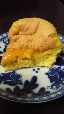 *izumanix*-201004072206000.jpg