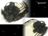 ☆【2WAYでカワイイ!】Le Vernis(Casselini)のクラッチバッグ☆