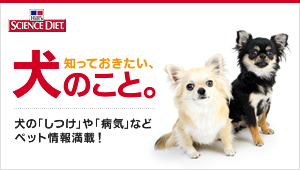 知っておきたい、犬のこと。犬の「しつけ」や「病気」などペット情報満載!