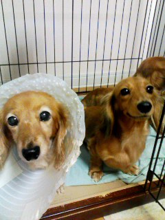犯人はお前だ!