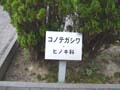 もやっと