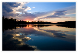 albt_photo.jpg