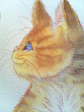 猫１